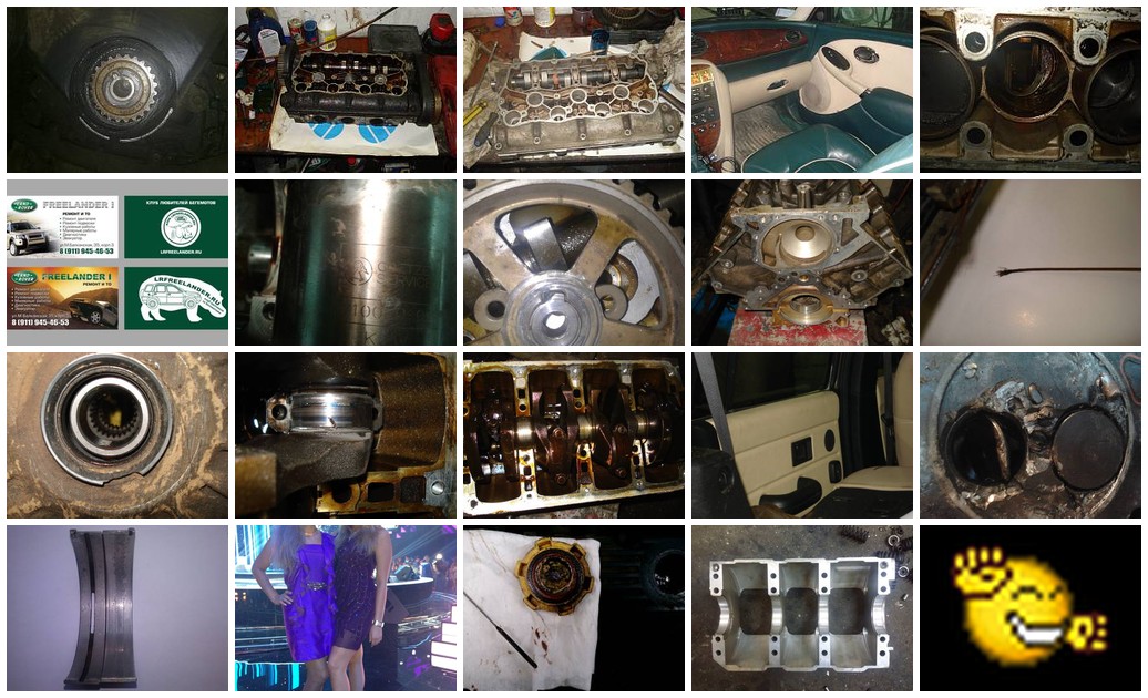 https://i.ibb.co/PZZLBk5M/2761-collage.jpg