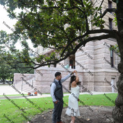 IMG 4213