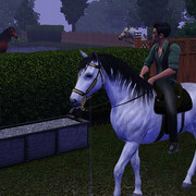 Screenshot 30