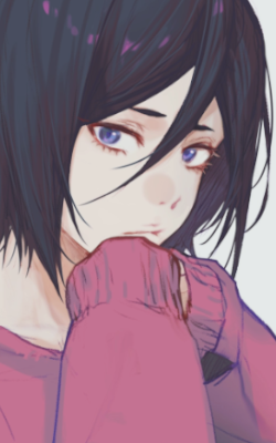 v3lara2.png