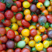 Tomate cerise bio 500g