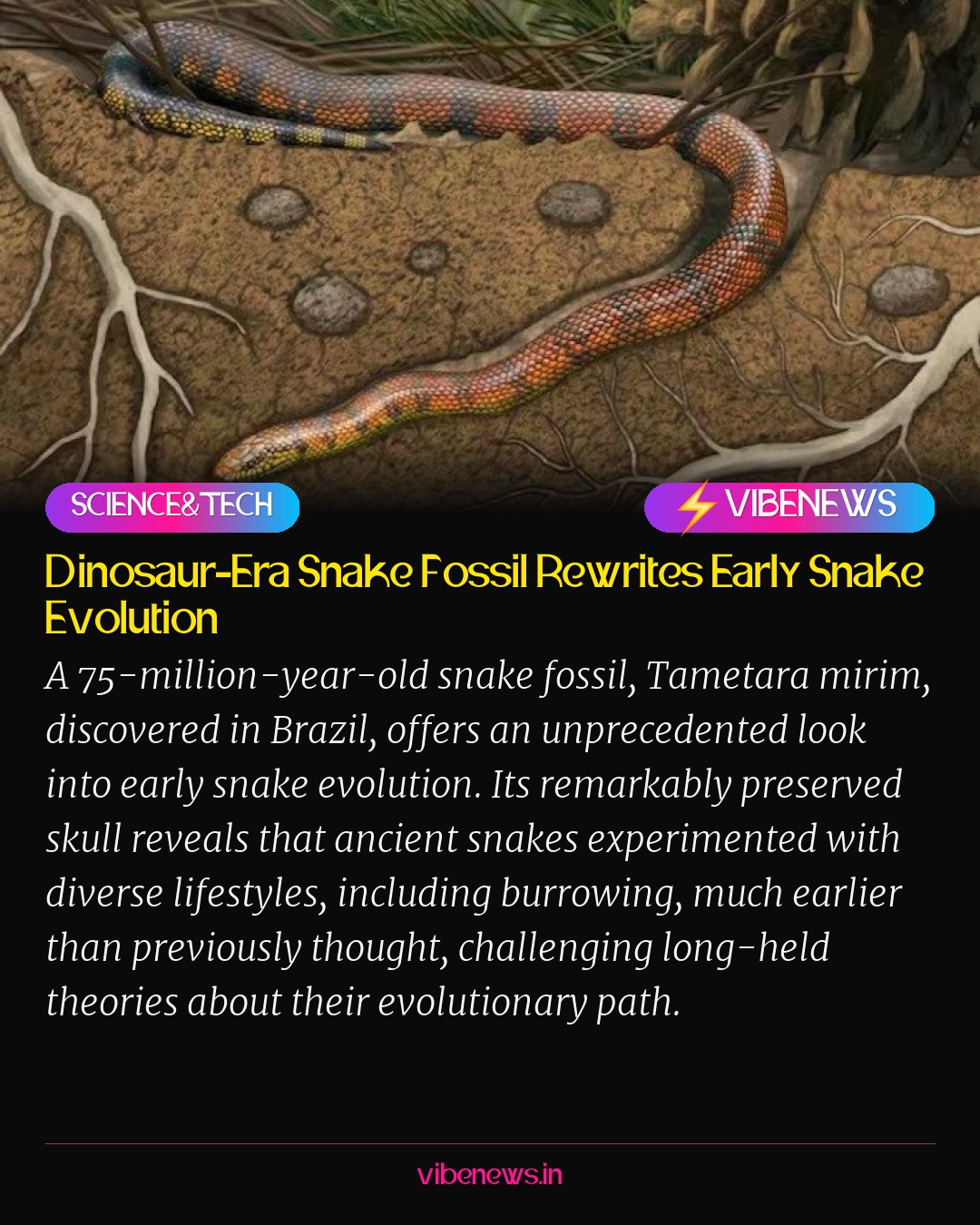 Dinosaur-Era Snake Fossil Rewrites Early Snake Evolution