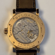 IMG 4739