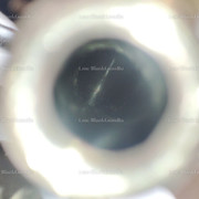Photo-1746194758046