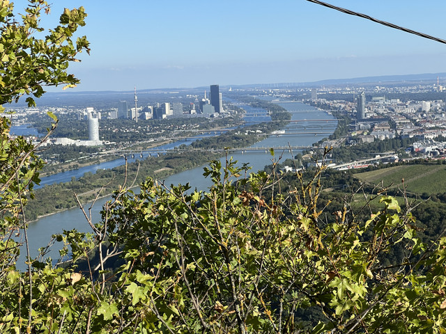 IMG-1954.jpg