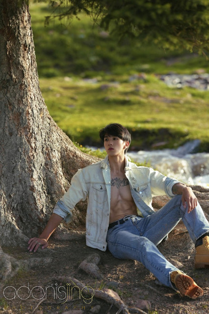 Adonis 01 63