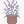 IMG 5906.png