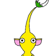 yellowbud