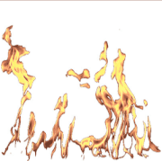 Photo Studios2026322.gif