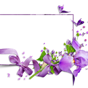 cluster-frame-46