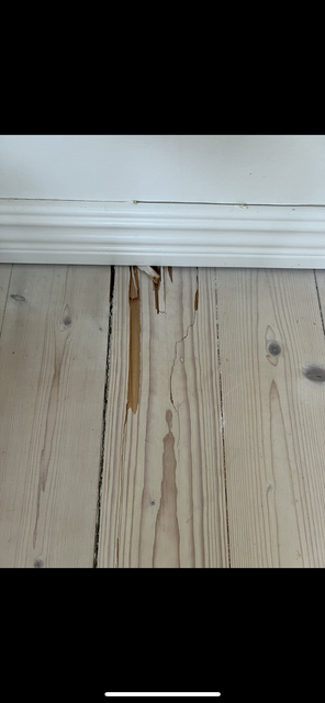 IMG-4774