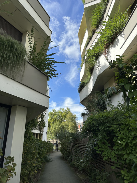 IMG-6748