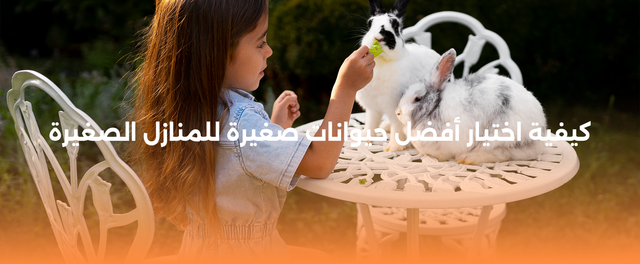 أفضل حيوانات صغيرة
