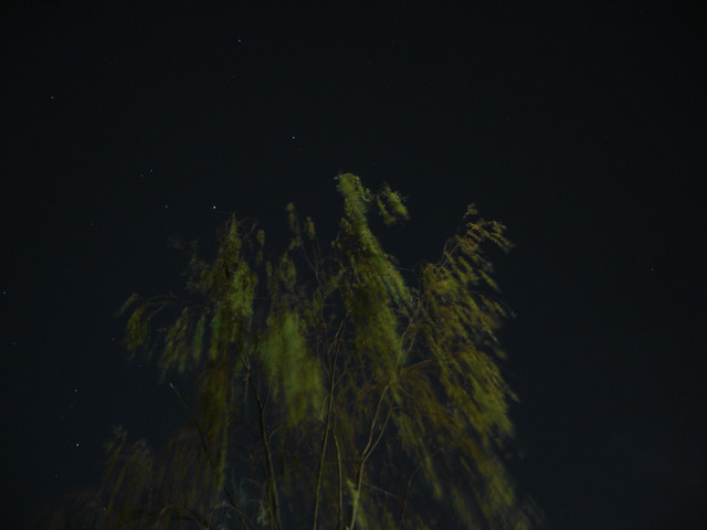 2012-01-03-01.jpg