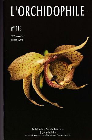 orchido116.jpg?042148