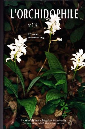 orchido109.jpg?042148