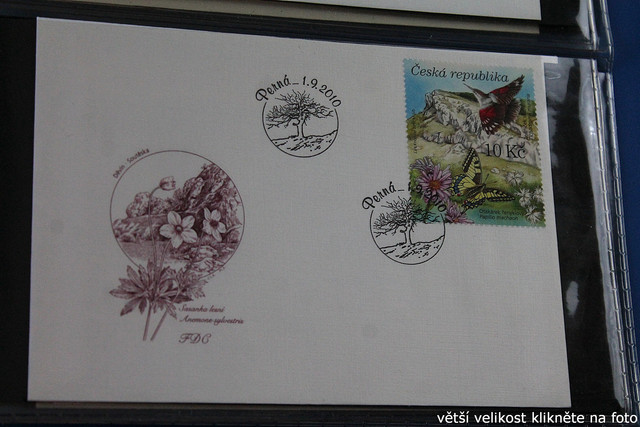 IMG-2723.jpg