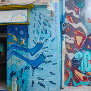 DSC-6698
