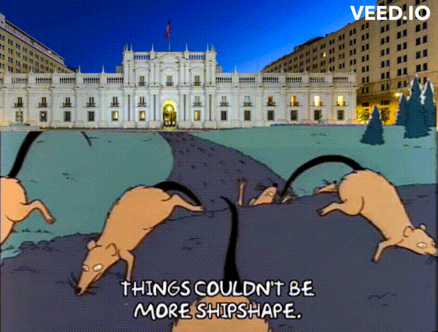 moneda-ratas.gif