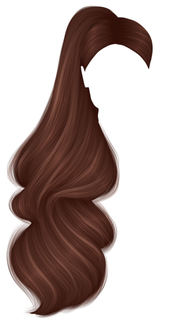 Brown Hair PNG