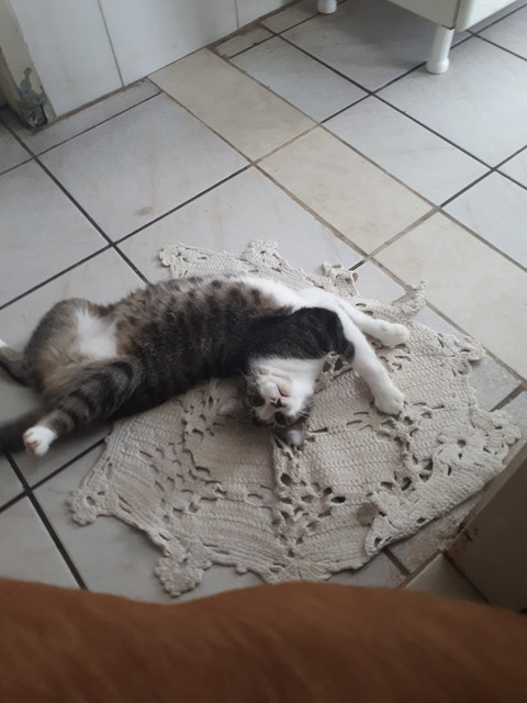 And thats the culprit