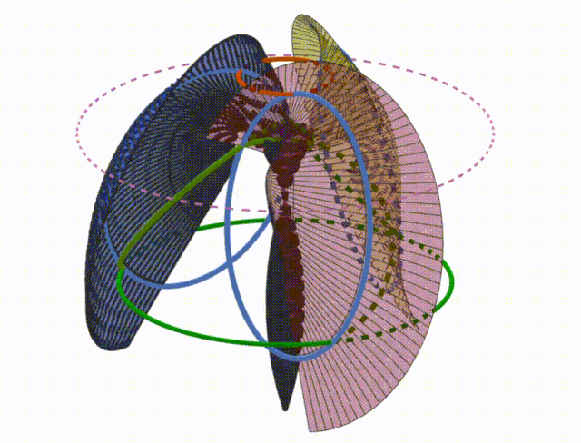 tri-Manta4e-Okidor
