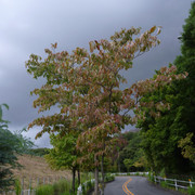 P1340960