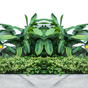 p-VGg6zeu-Vv-PG