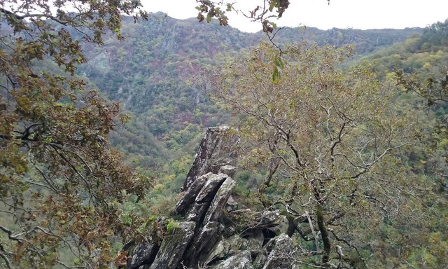 FRAGAS ALTOS FONTARDION 2016 36