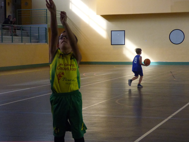 P1020229.jpg