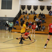 IMG-0321