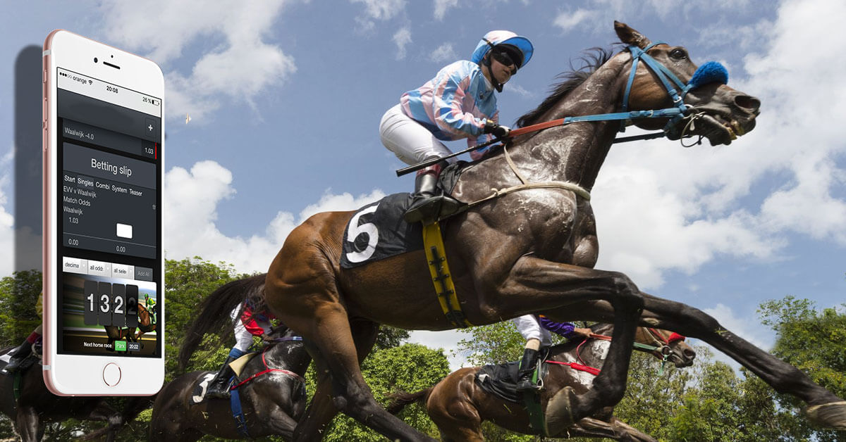 Horse Racing Betting: What are the Odds, How to Read Them