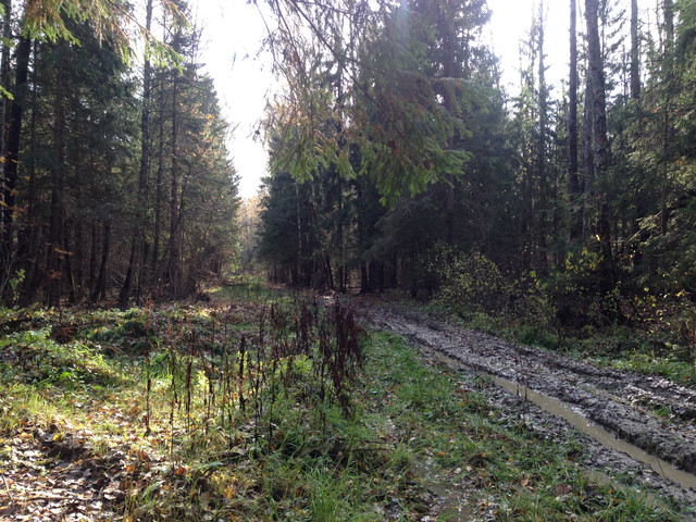 IMG-4352.jpg