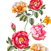 0fda79043bdd2d9b1aa4eb299a2c263d