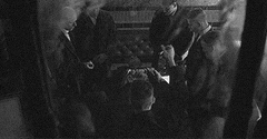 https://i.ibb.co/Pfh7Jtq/313273.gif