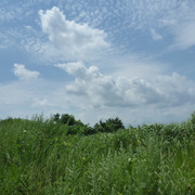 P1330199