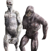 re4img-3