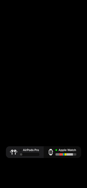 IMG-1020
