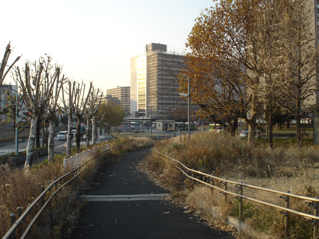 2011-12-22-29