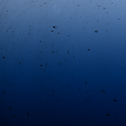 IMG-20191202-201252-784