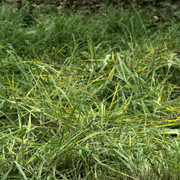 DSC7889