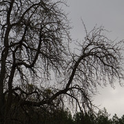 DSC09771
