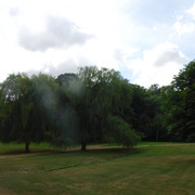 DSCF6170