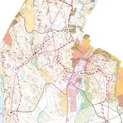 ankkuri23