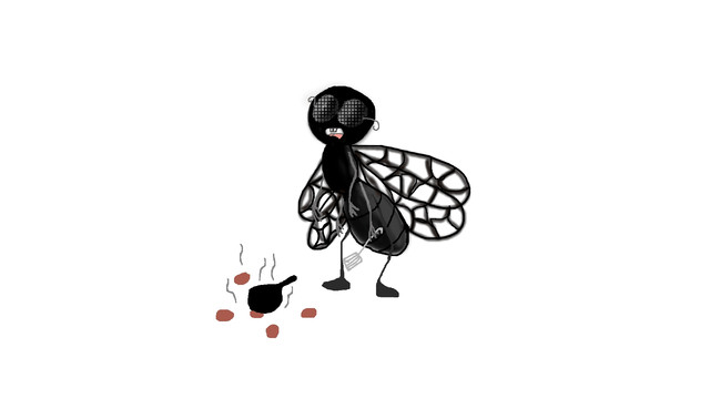 fly