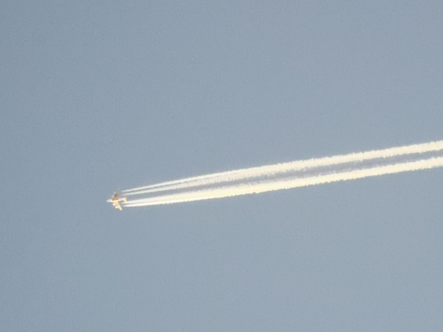 IMG-20231012-183135.jpg