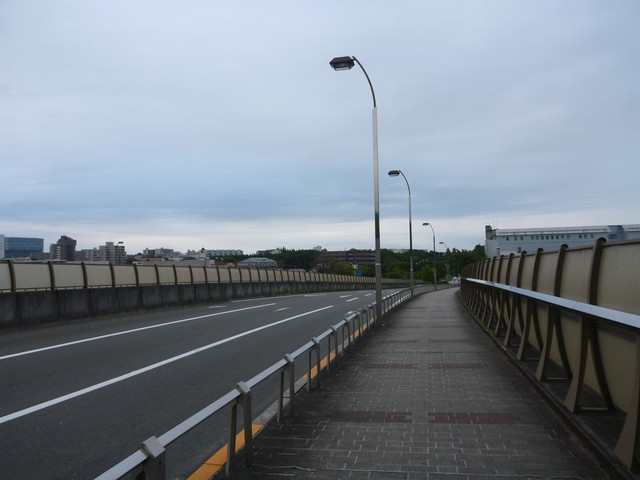 P1340934.jpg