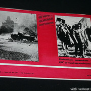 IMG-8646