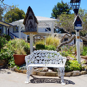 bench-carmel