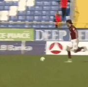 giphy.gif